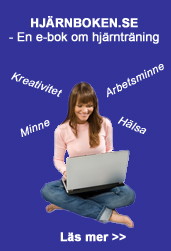Hjrnboken.se - en e-bok om hjrntrning